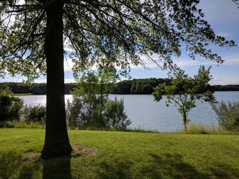 Birdwatching On The Edge Of Water