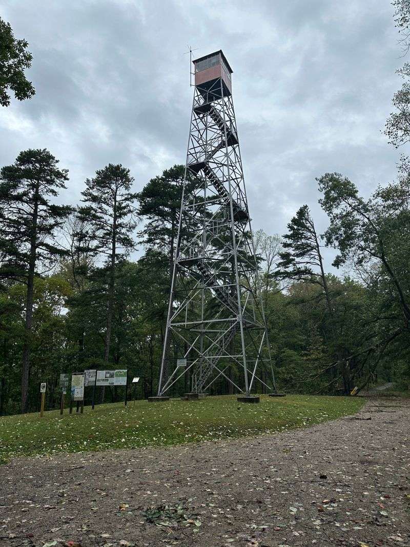 Fire Tower Views Worth the Climb