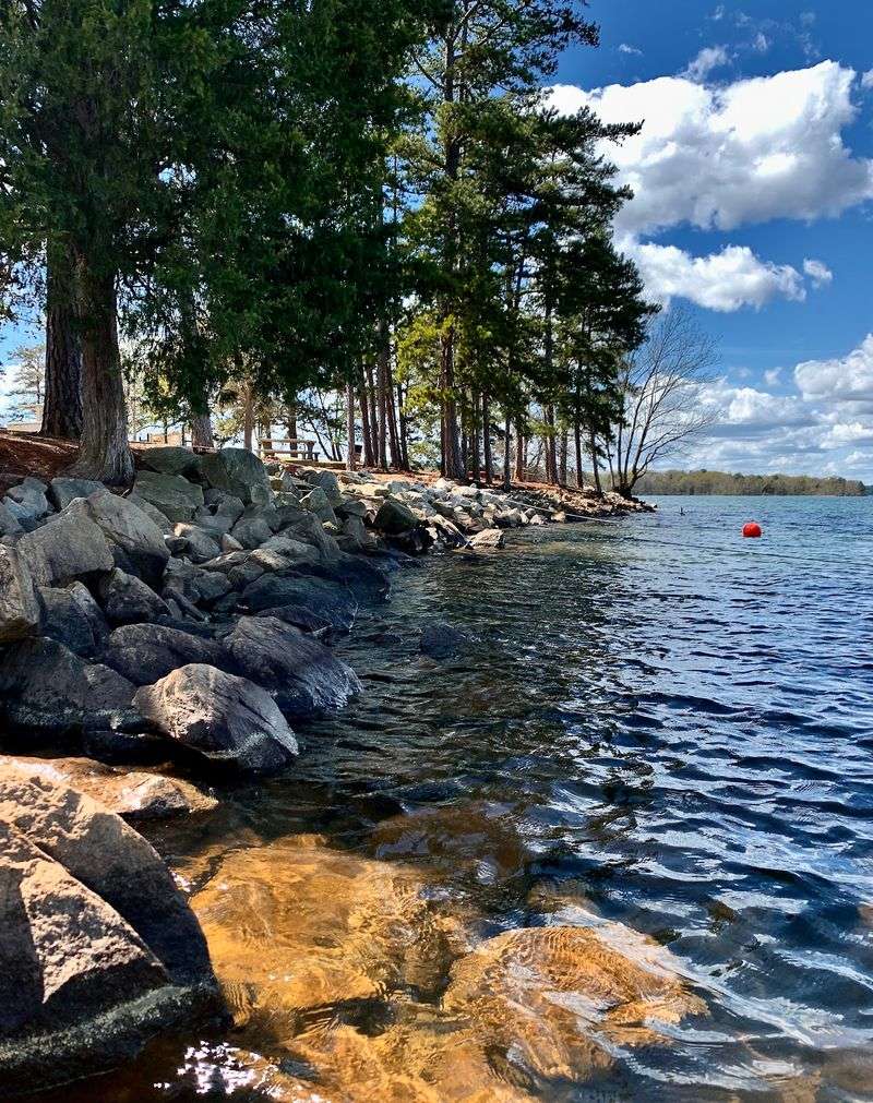 Campgrounds And State Parks For Every Kind Of Camper