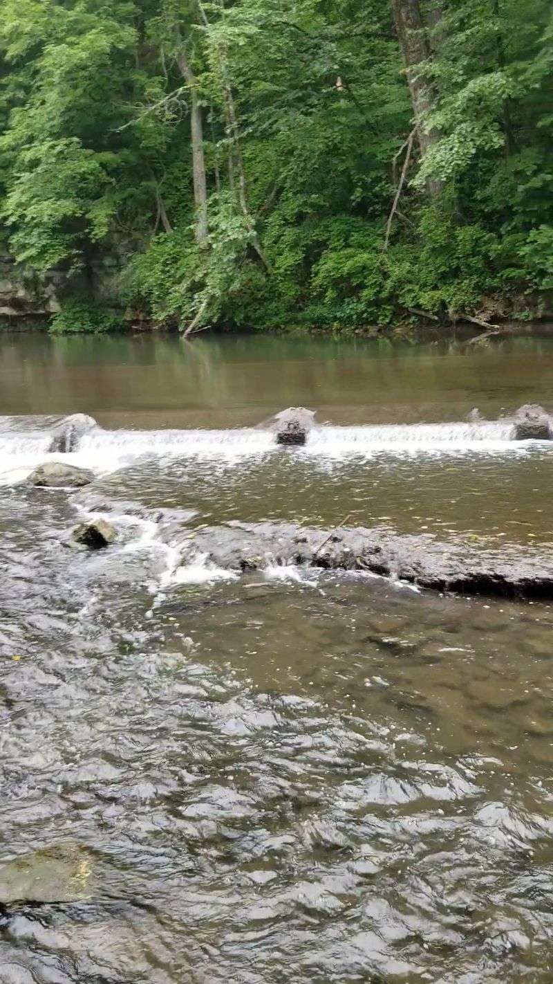 Creeks, Trout, And Quiet Corners