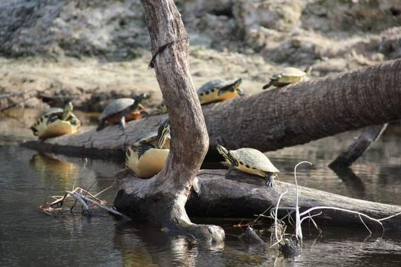 The River Is Accessible For All Skill Levels