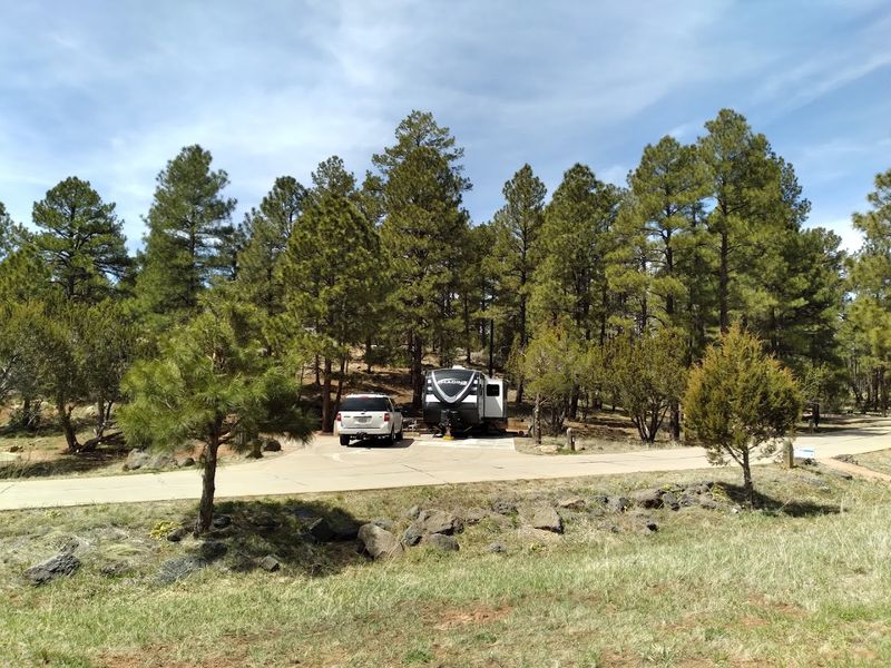 Camping Among The Pines