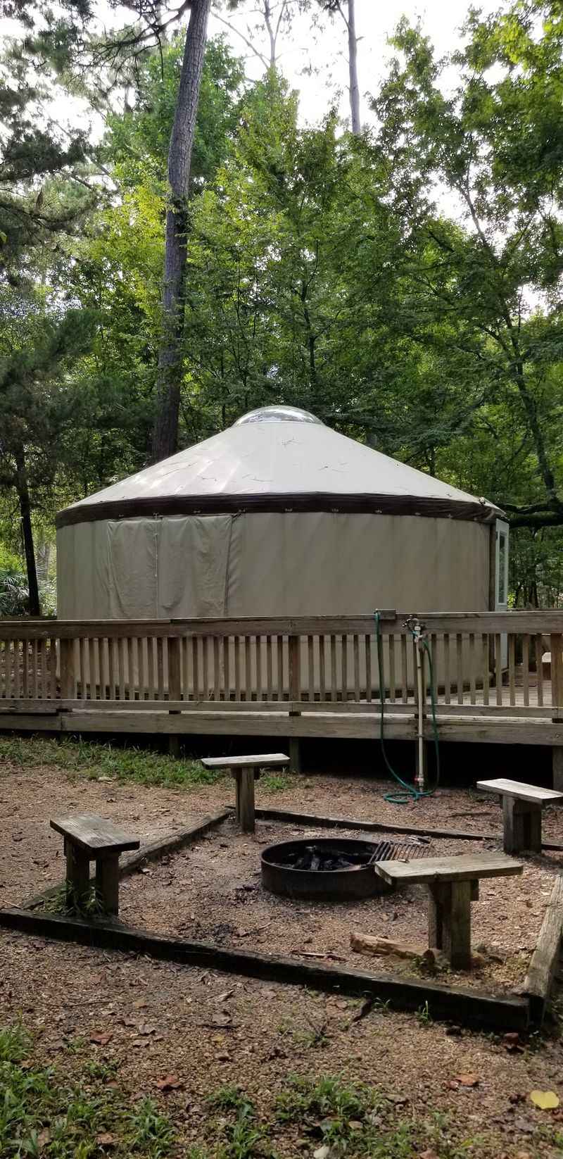 Camping And Cozy Cabins In The Woods