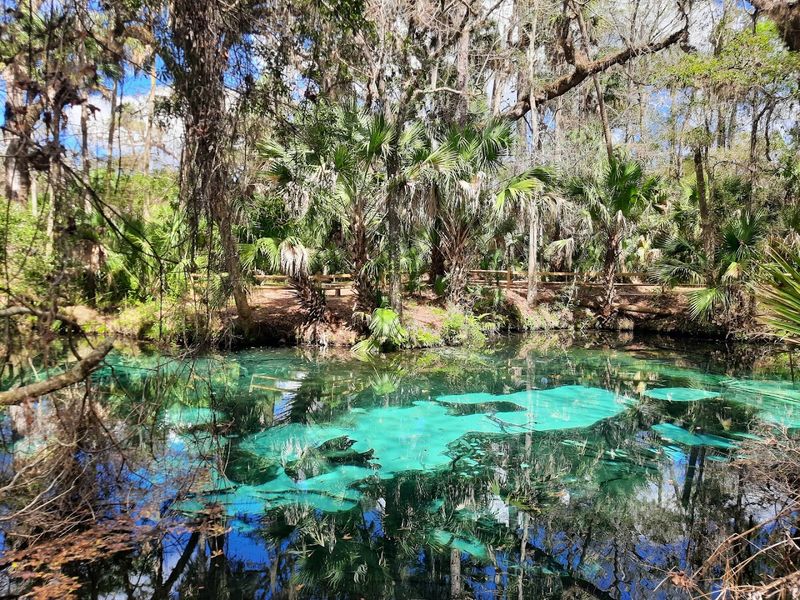 Camping At Juniper Springs