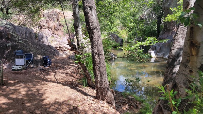 Camping Beside The Stream