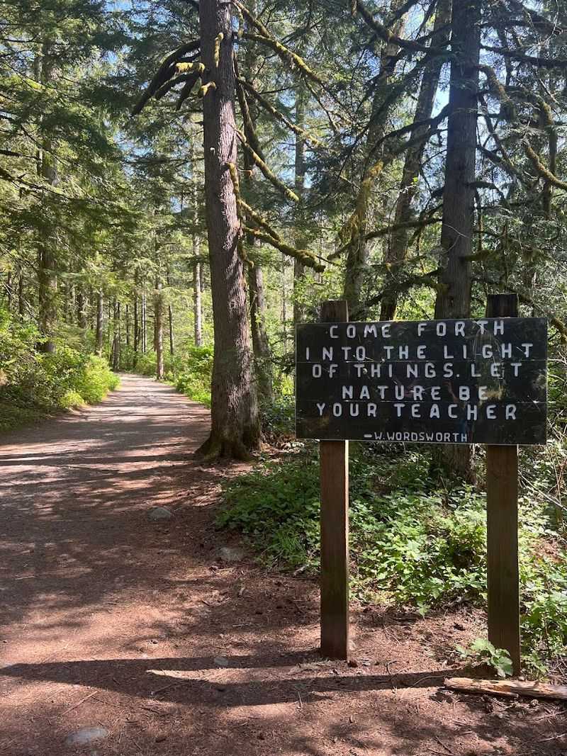 Tips, Gear, And Making The Most Of Your Visit