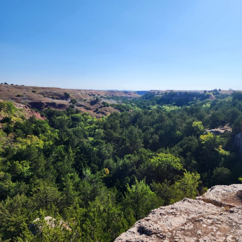 Camping, Hiking, And Everything Else The Park Offers