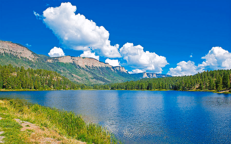 Camping In Bear Country Still Beats Staying Home