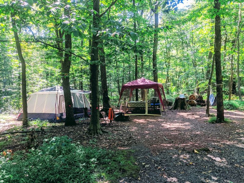 Camping Options From Basic Sites To Glamping Tents