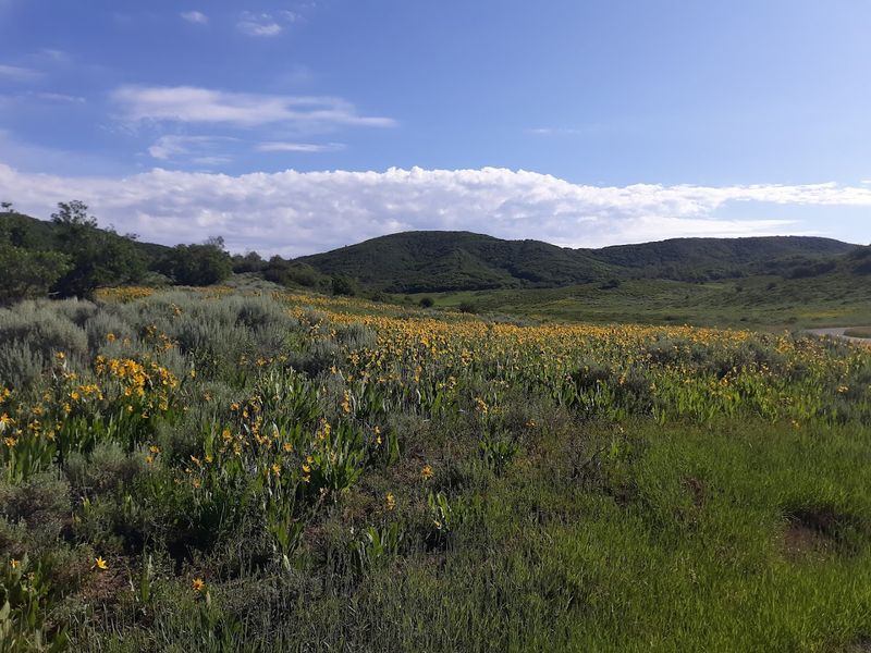 Wildlife Sightings That Turn An Ordinary Walk Into A Story