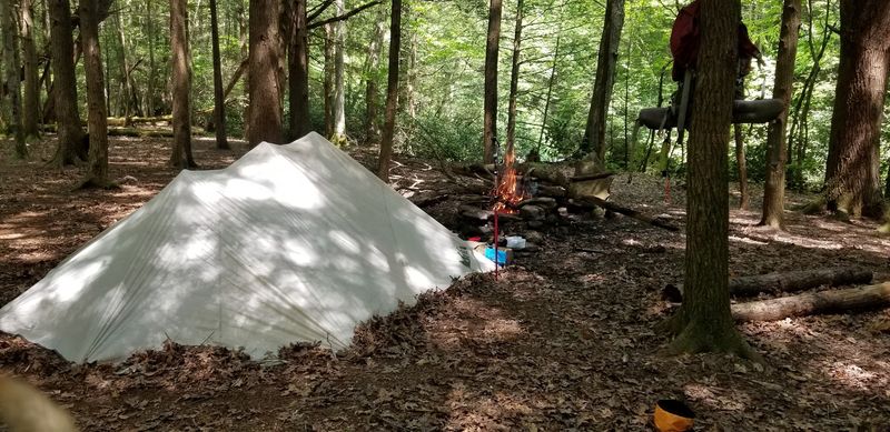 Camping Options That Put You Deep In The Forest Camping Options That Put You Deep In The Forest