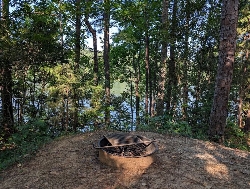 Camping Options That Range From Lakeside Spots To RV Sites