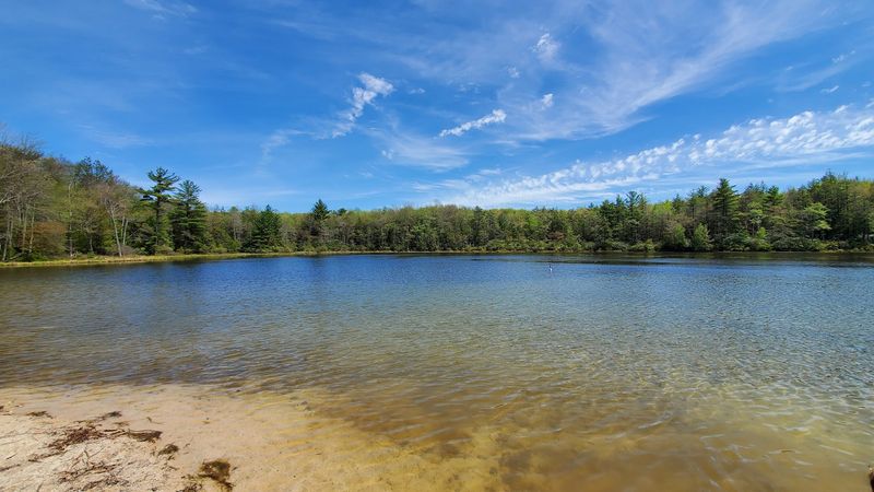 Swimming, Sand, and Summer Fun at the Lake