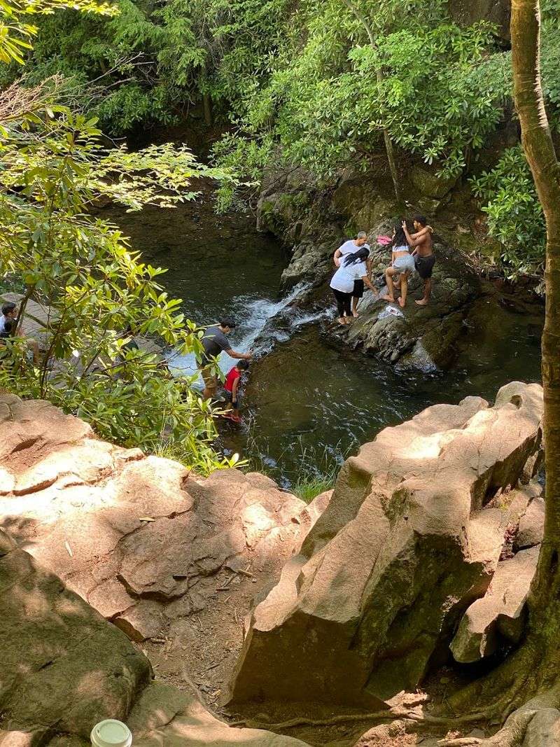 Camping Options That Suit Everyone From Tent Campers To RV Travelers