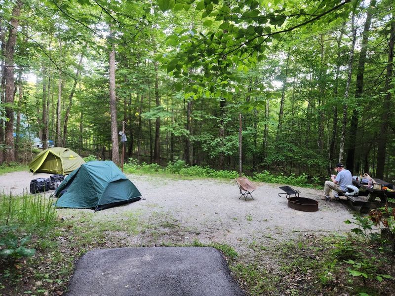 Camping Right Inside The National Forest Near The Water