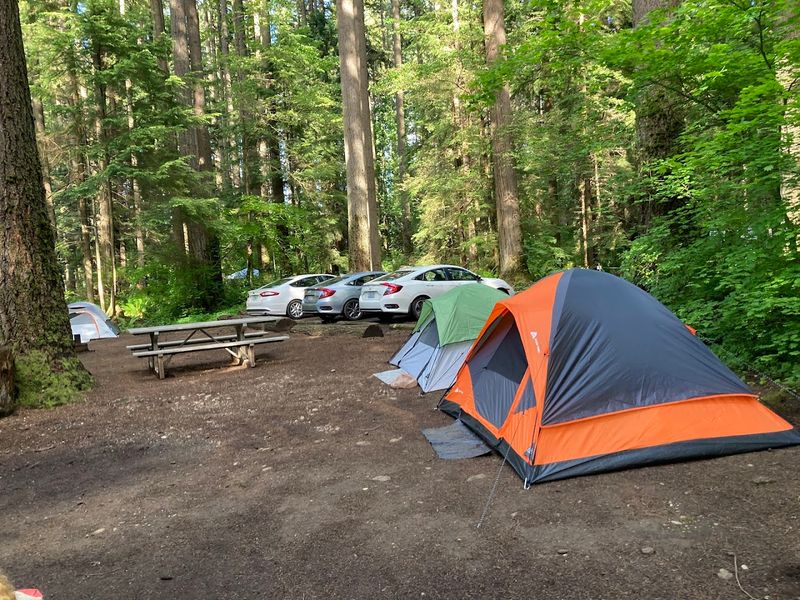 Camping Under A Star-Filled Sky