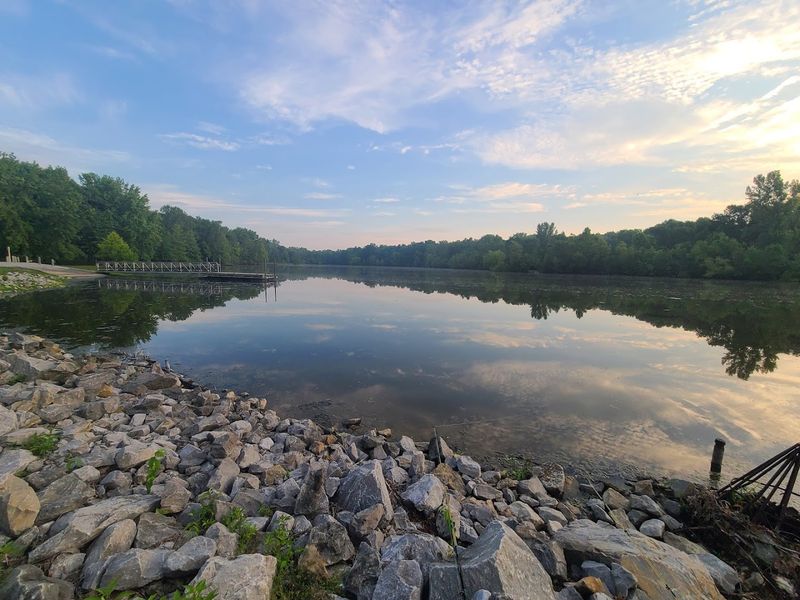 Fishing At The Park Lake