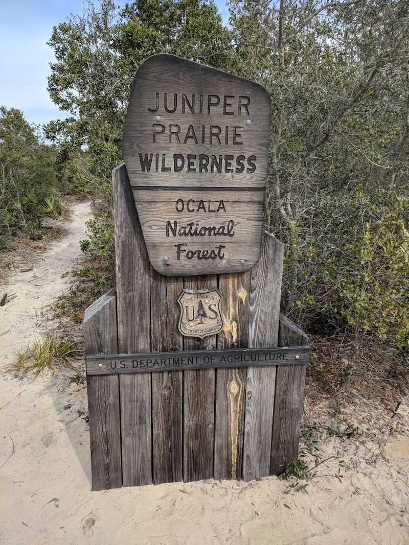 The Entrance Fee Breakdown Every Visitor Should Know