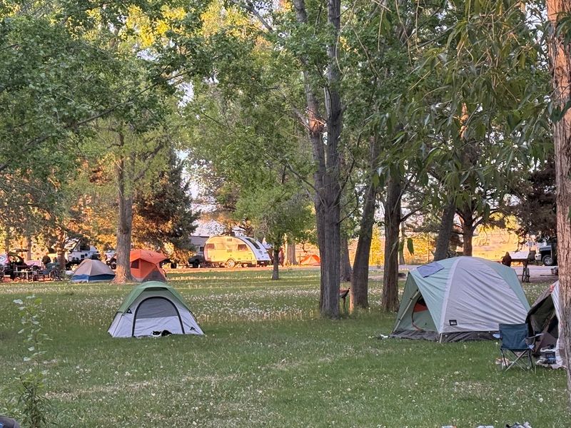 Camping Under Cottonwoods With Actual Shade