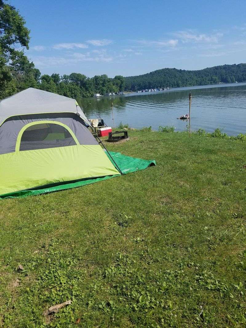Camping Under Quiet Skies