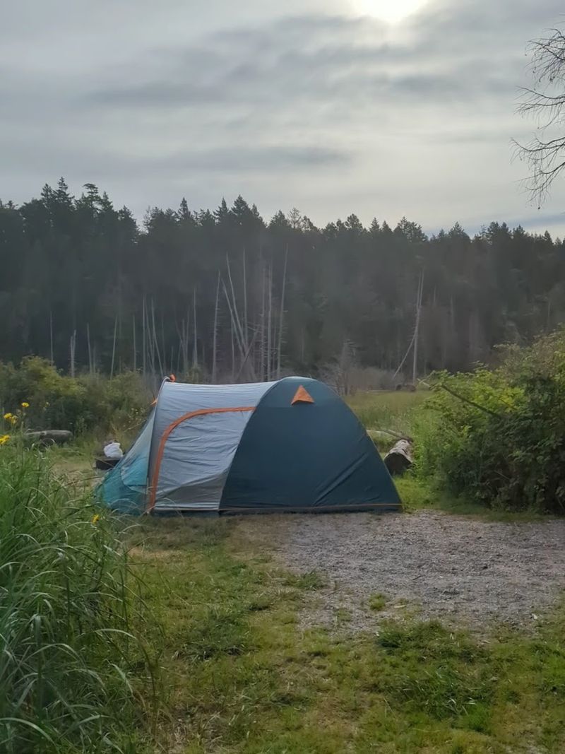 Camping Under Stars Far From City Lights