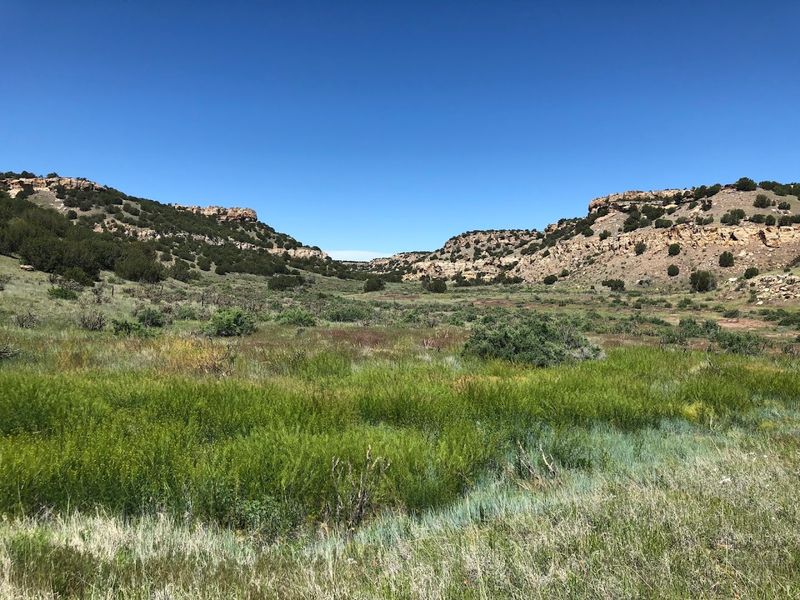 Wildlife, Tarantulas, and the Canyon's Surprising Cast of Characters