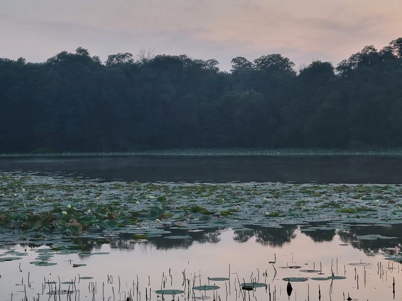 Wildlife Watching For Patient Observers