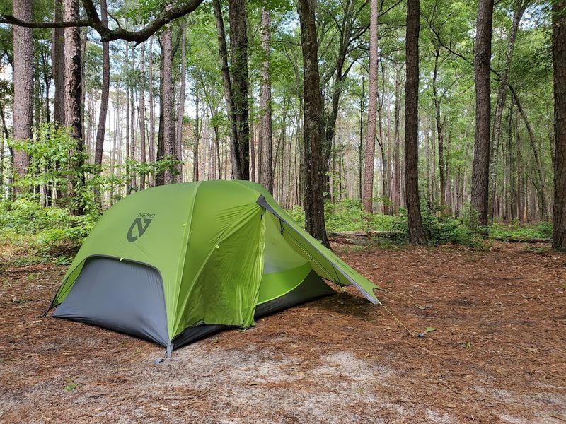 Camping Under The Ancient Canopy Is A Truly Unforgettable Experience