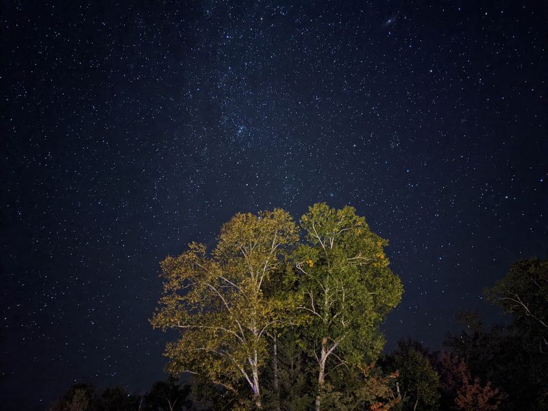 Camping Under The Darkest Skies You Have Ever Seen