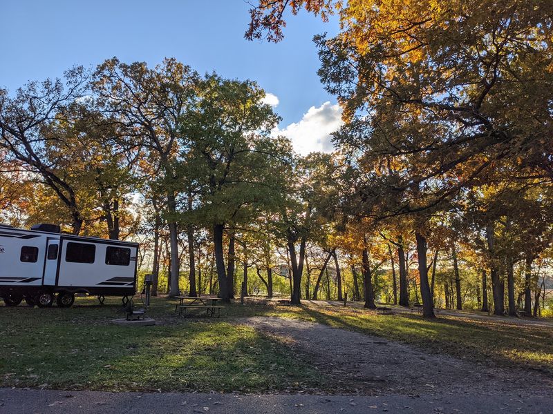 Camping Under The Northern Illinois Sky