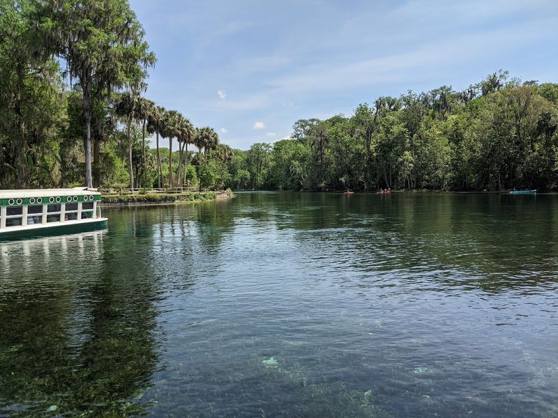 Wildlife Encounters Around Every Bend