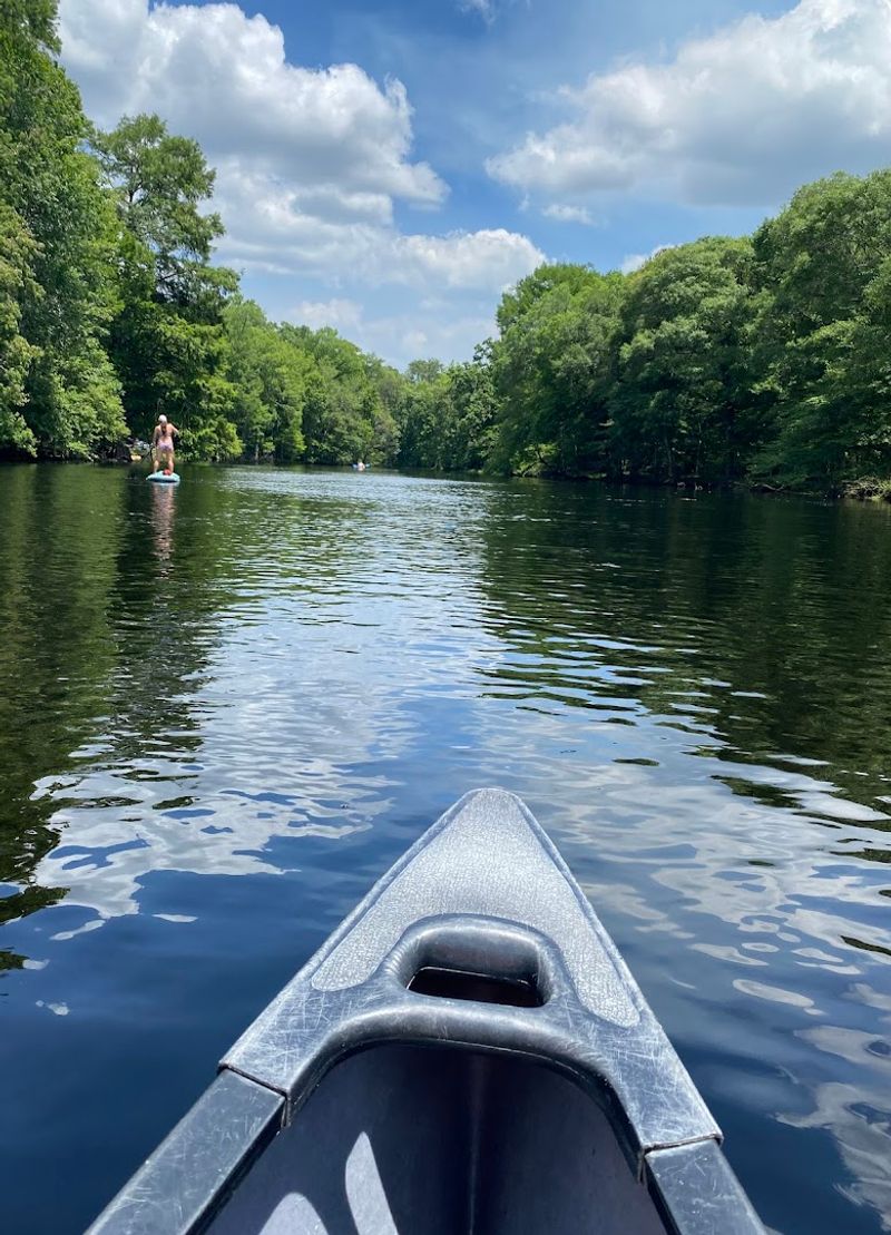 The Picnic Areas, Pavilions, And Relaxed Atmosphere