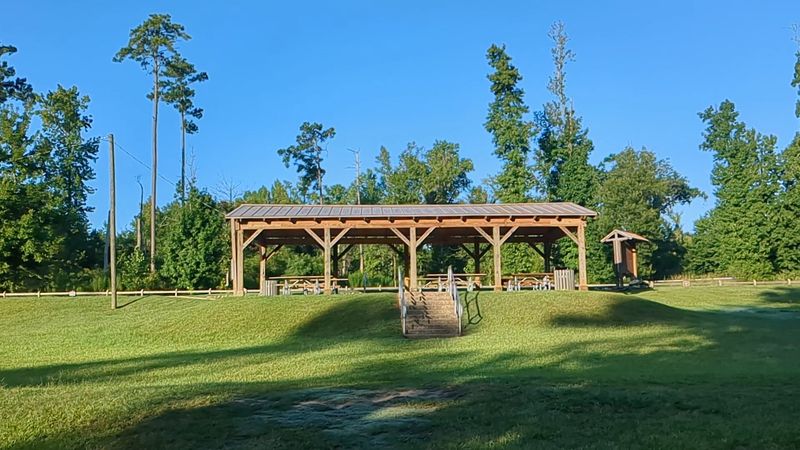 Camping Under The Trees: What A Night At The Park Looks Like
