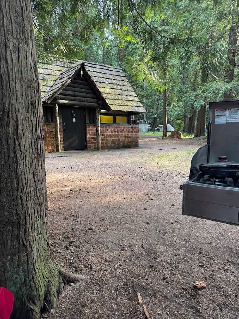 Camping Under The Trees Year-Round