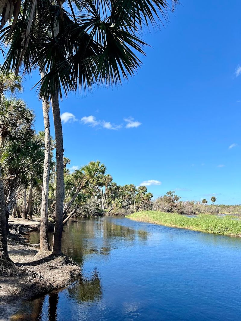 Kayaking the Myakka River Is a Quiet Kind of Adventure