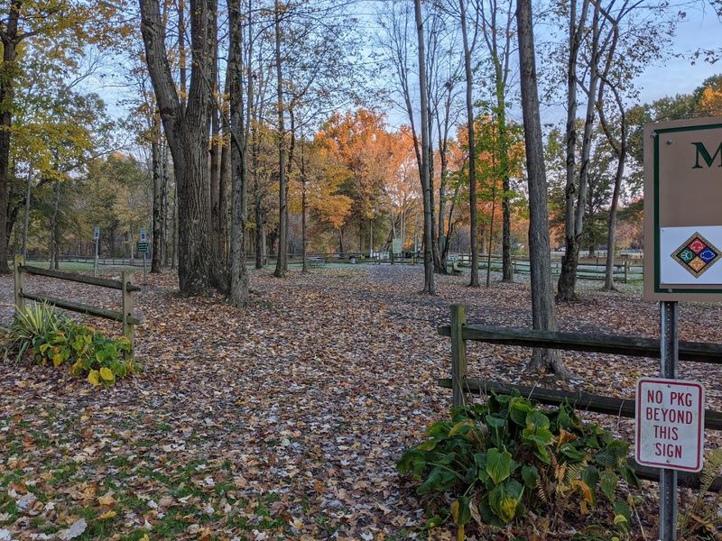 Camping With Room to Breathe