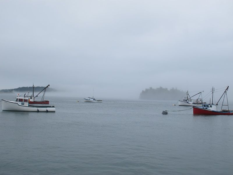 Fog-Shrouded Mornings