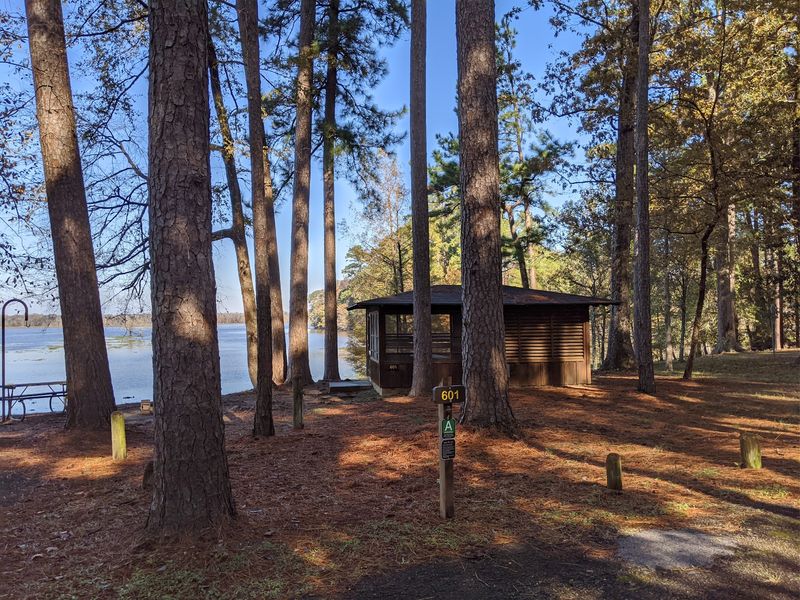 Campsites Galore, Plus Cabins For The Bug-Averse