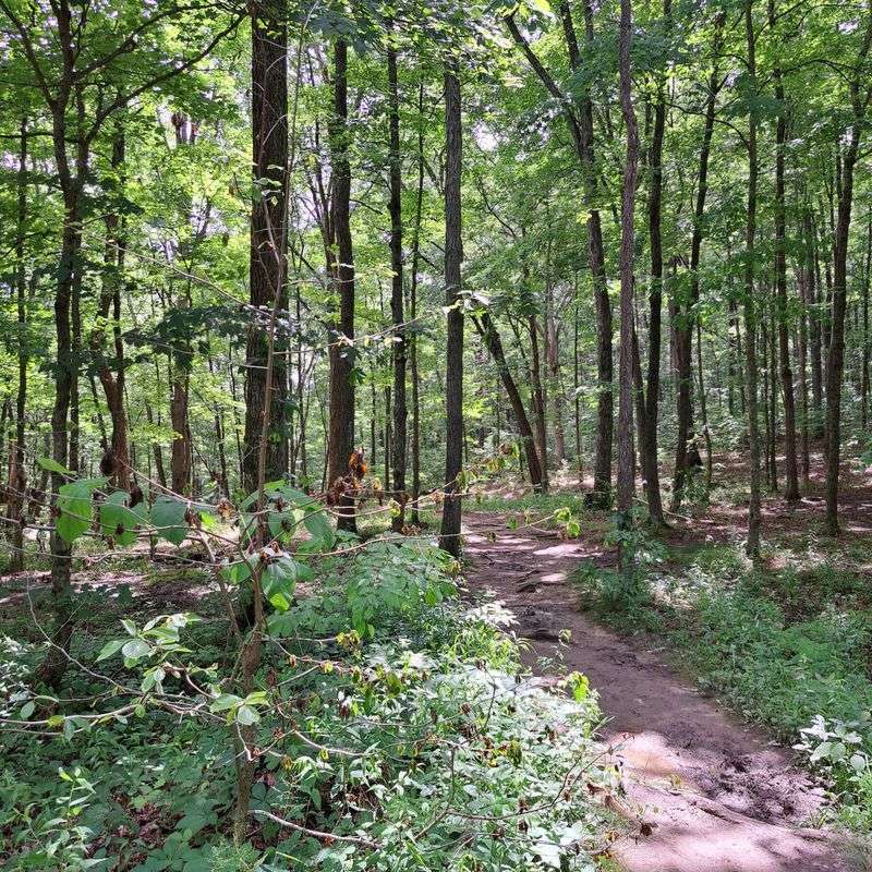 Getting There And Parking Like A Pro