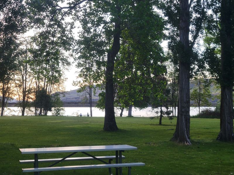 Campsites, Showers, and RV Basics