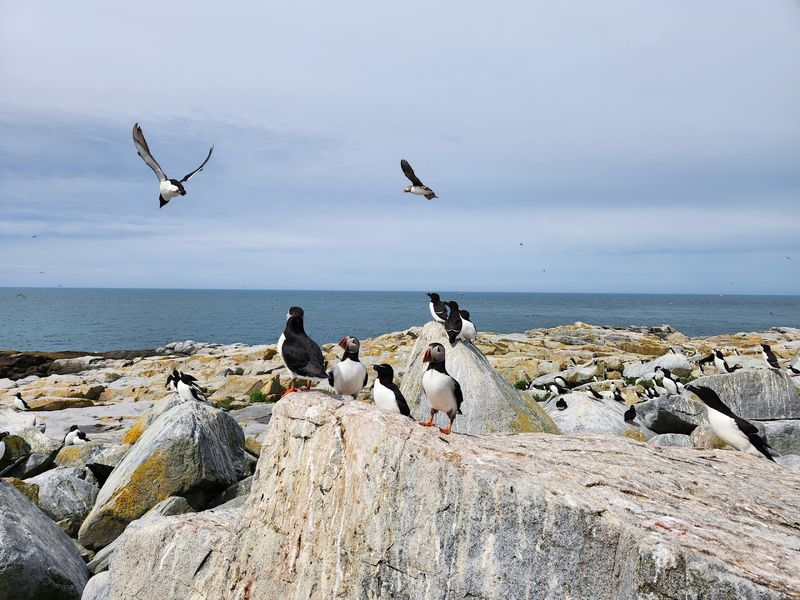 How Long Should You Plan?