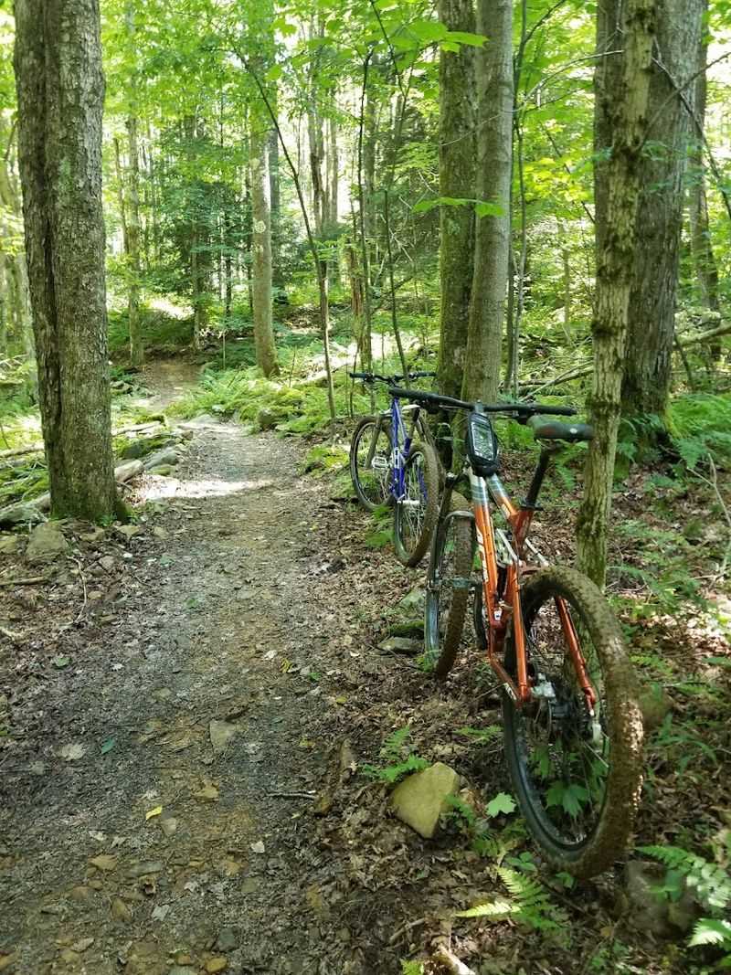 Hiking The Allegheny Highlands Trail Network