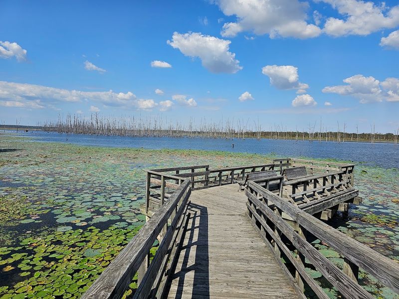 Cane Creek State Park, Star City Cane Creek State Park, Star City