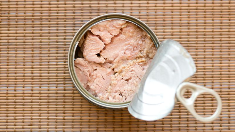 Canned Tuna: Protein Powerhouse with Precautions