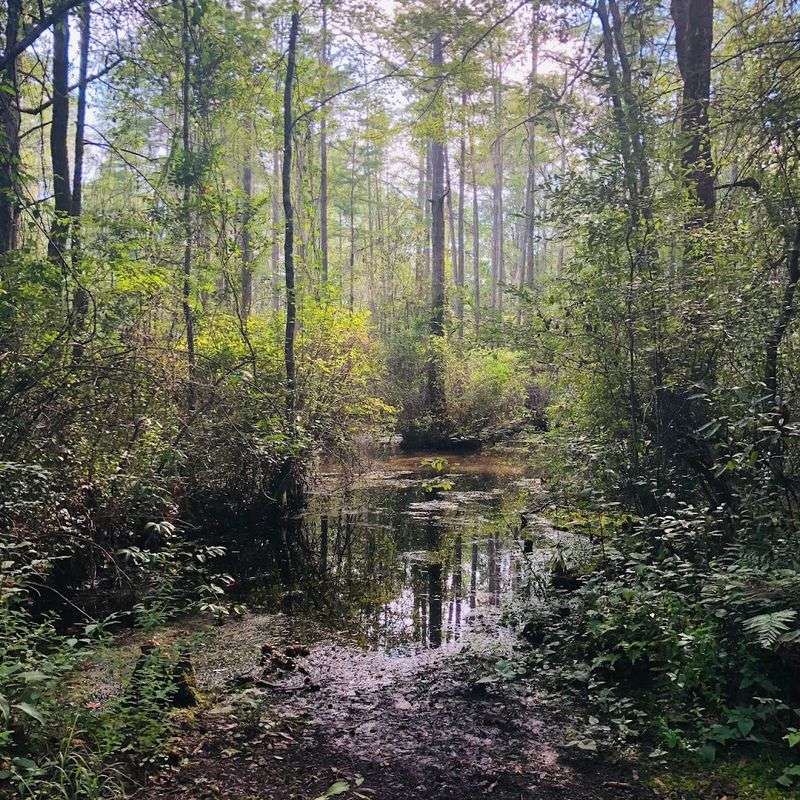 The Park Sits In One Of South Carolina's Most Secluded Settings