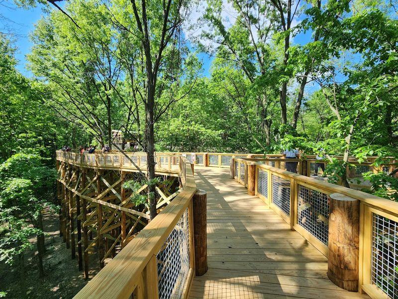 Canopy Walk At Blacklick Woods Metro Park, Reynoldsburg