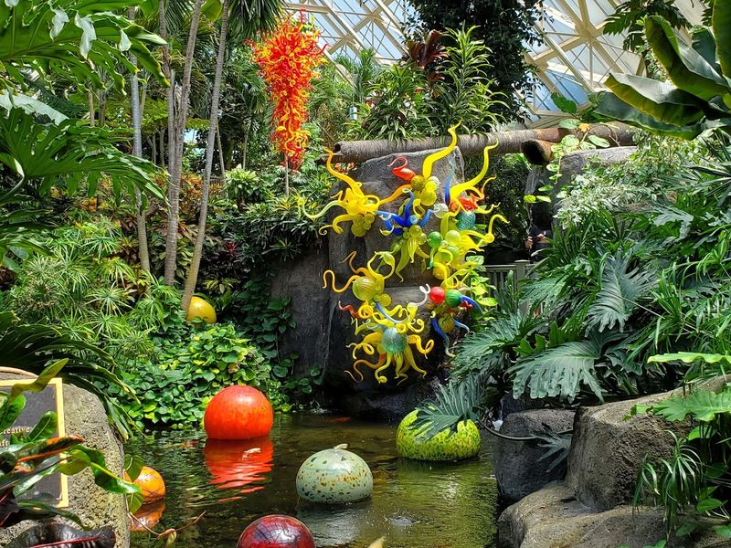 Canopy Walk At Franklin Park Conservatory And Botanical Gardens, Columbus