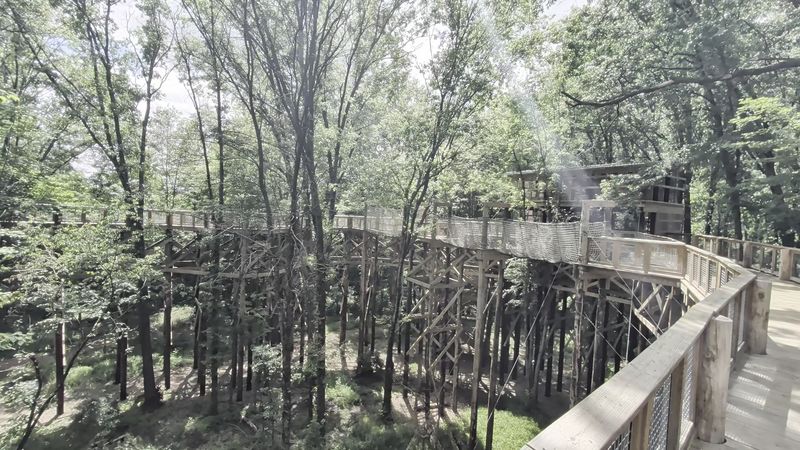 Canopy Walk Observation Tower At Blacklick Woods Metro Park, Reynoldsburg