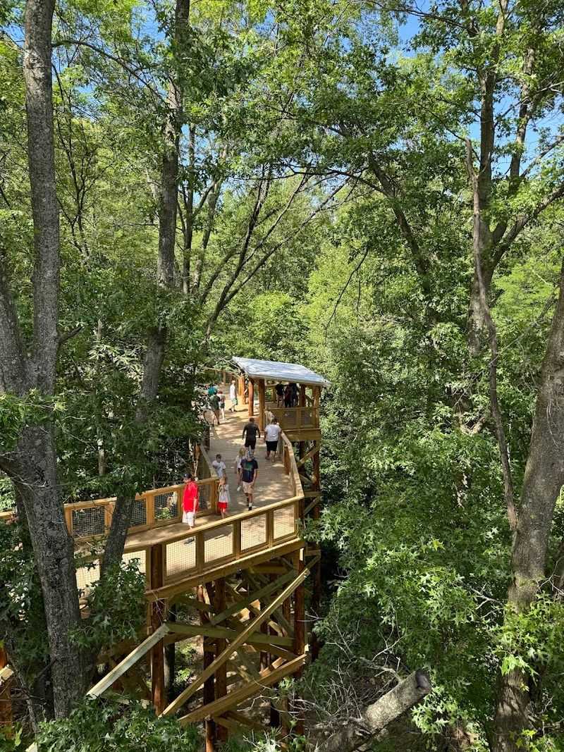 Canopy Walk Viewing Platform at Blacklick Woods Metro Park, Reynoldsburg, Ohio