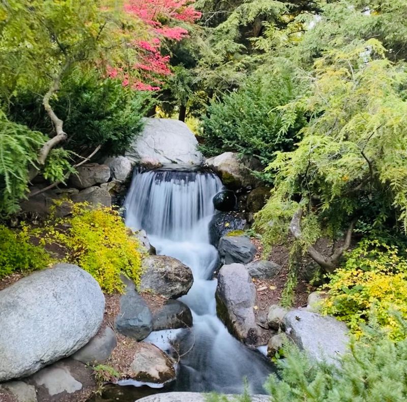 A Botanical Escape In Midland